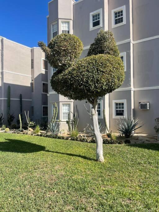 Departamento En 1Er Piso 2 Bdr 2Bath Tezal Lejlighed Cabo San Lucas Eksteriør billede